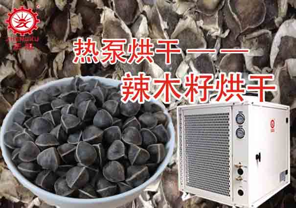 辣木籽烘干工藝(烘干溫度和烘干時(shí)間) 辣木籽烘干工藝(烘干溫度和烘干時(shí)間)