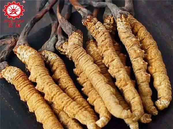 蟲(chóng)草水洗后能空氣能烘干嗎? 蟲(chóng)草水洗后能空氣能烘干嗎?